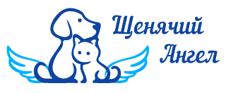 Благотворительный фонд "Щенячий ангел". Щенячий ангел приют в Москве. Приют Щенячий ангел где находится. Приют для животных Щенячий ангел где находится.