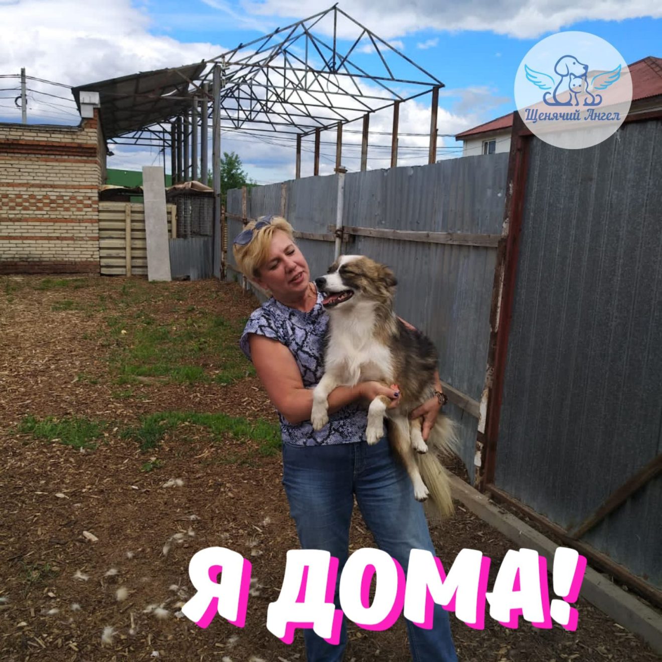 Щенячий Ангел — Благотворительный фонд