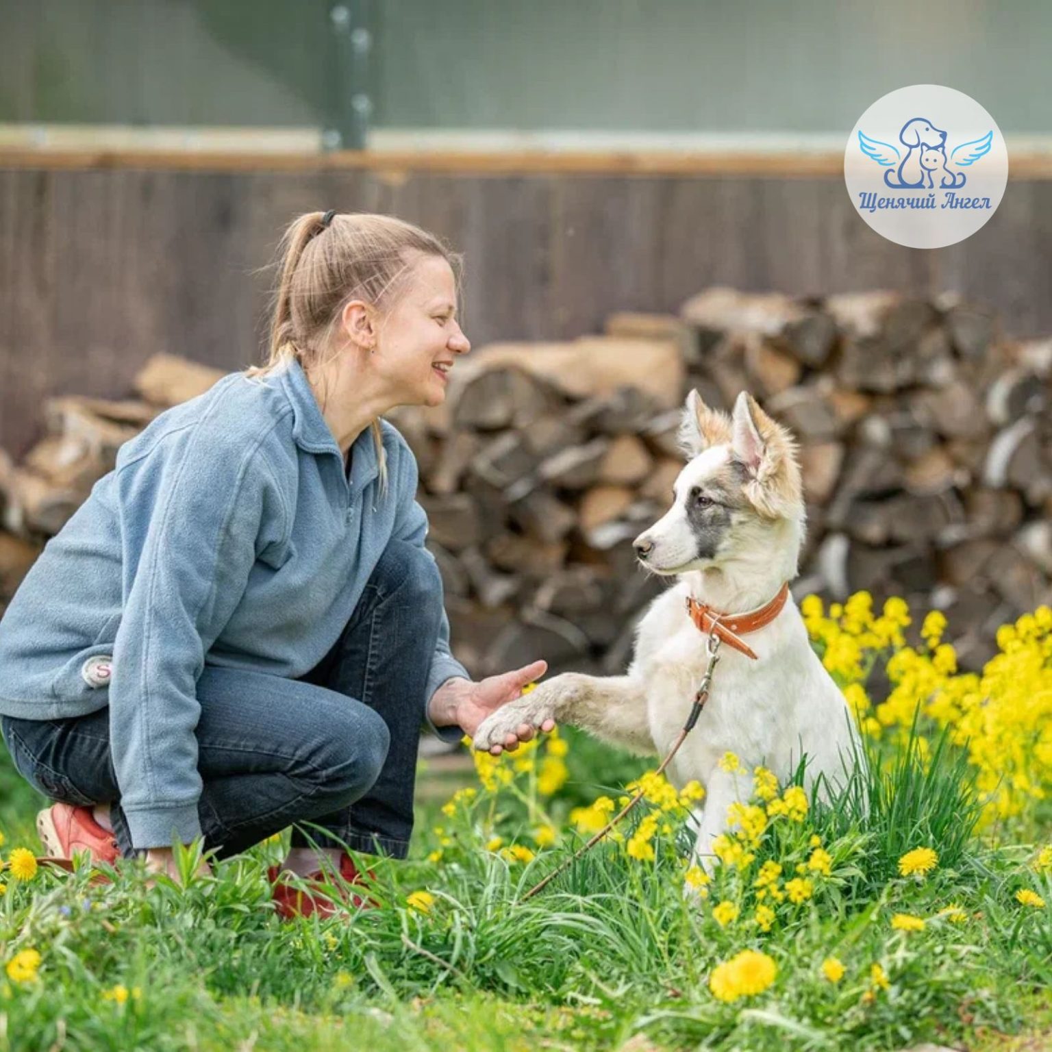 пеларгония зональная люстра скарлет. поиск вайт. значок лупы белый. иконка поиска на прозрачном фоне. поиск вайт.