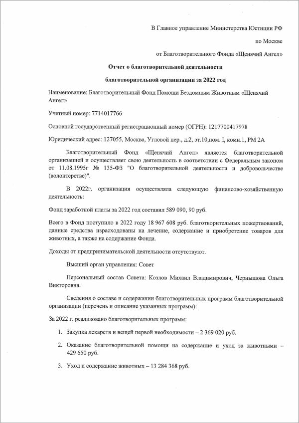 Отчеты за 2022 год - Благотворительный фонд помощи бездомным животным ...