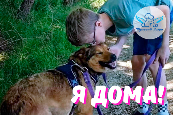 Н_2025-07-25_Чеми-3×2 Н_2025-07-25_Чеми-3x2