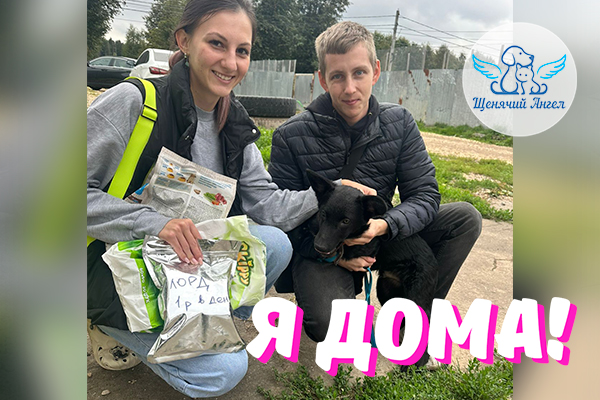 Н_2025-09-18_Бим_я_дома_3x2