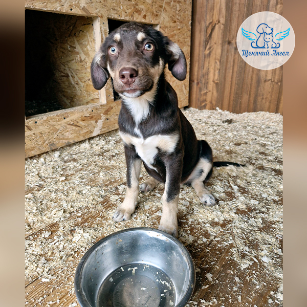 2025-11-12_Накормнесобирайка_ноябрь_2025(0)