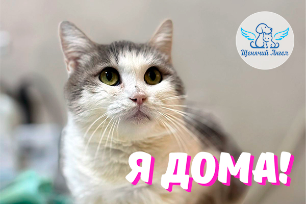 Н_2025-12_09_Астра_Я_Дома_3x2