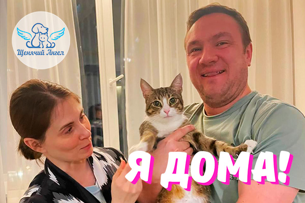 Н_2025-12_31_Рыся_3x2 Н_2025-12_31_Рыся_3x2