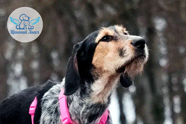 ЖП_2025-12_09_Альма_3x2