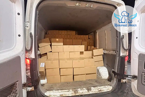 ЖП_2025-12_17_Благодарности_Котодетки_3x2