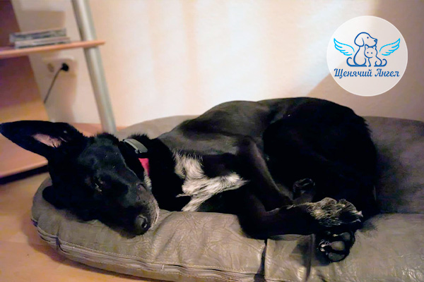 ФД_2026-01-09_Кармен_3x2