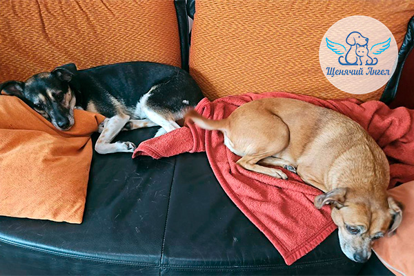 ФД_2026-01-14_Джонни(1)