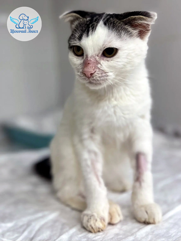 Марко-на-лечение_2