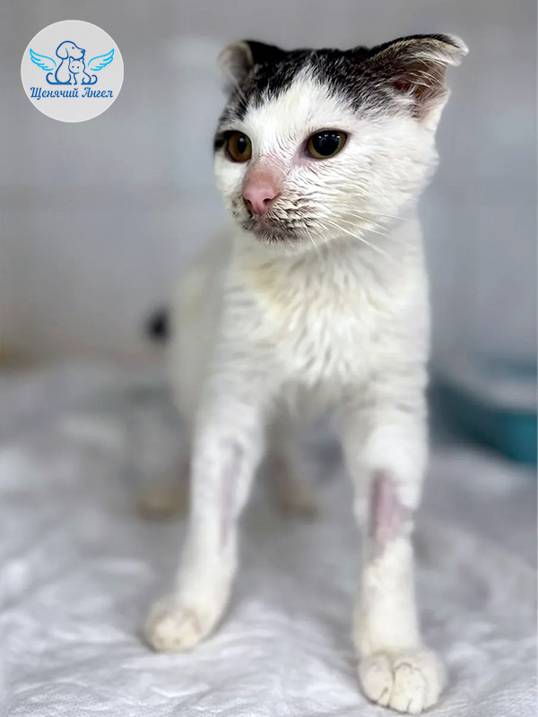 Марко-на-лечение_3