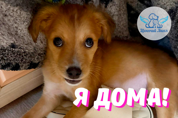 Н_2026-01_09_Клео_Я_Дома_3x2