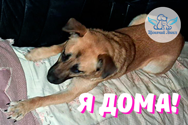 Н_2026-01_26_Мята_Я_Дома_3x2 Н_2026-01_26_Мята_Я_Дома_3x2