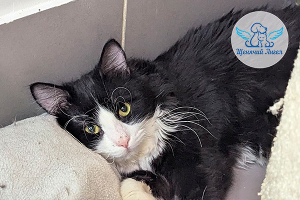 ЖП_2026-01_05_Бонус_3x2 ЖП_2026-01_05_Бонус_3x2