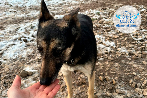 ЖП_2026-01_14_Леди_3x2