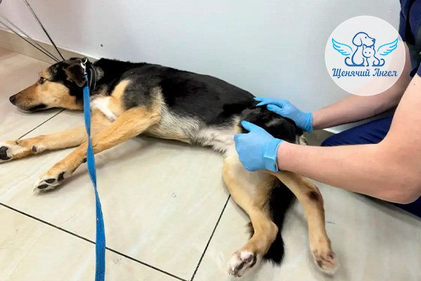 ЖП_2026-01_26_Варя_3x2 ЖП_2026-01_26_Варя_3x2