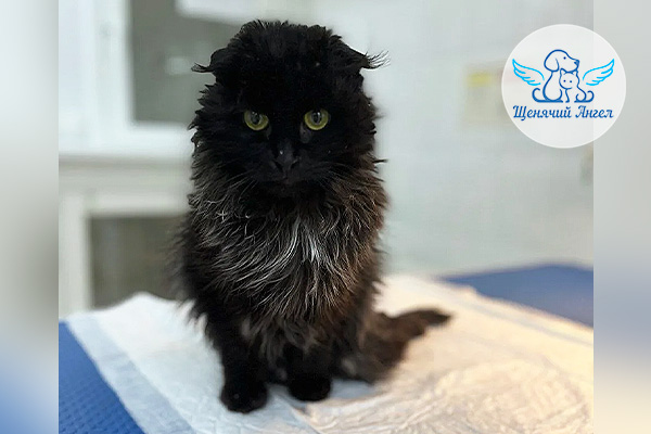 2026-02-09_Спасибо-Уголек_3x2