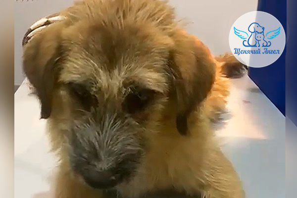 2026-02-23_Спасибо-Дуня_3x2(2) 2026-02-23_Спасибо-Дуня_3x2(2)