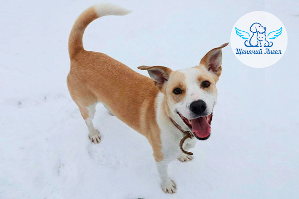 ФД_2026-02-03_Бинго_3x2 ФД_2026-02-03_Бинго_3x2