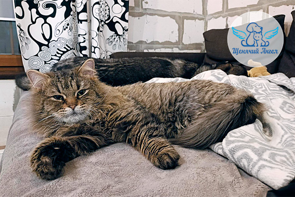 ФД_2026-02-06_Фредди_3x2