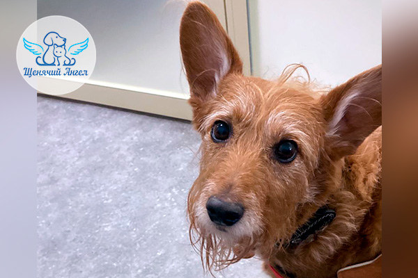 ФД_2026-02-16_Хагрюня_3x2 ФД_2026-02-16_Хагрюня_3x2