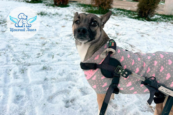 ФД_2026-02-18_Тай_3x2(1)