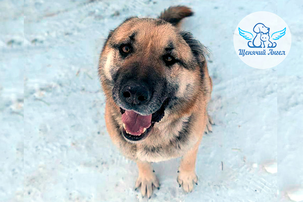 ФД_2026-02-19_Малыш_3x2 ФД_2026-02-19_Малыш_3x2