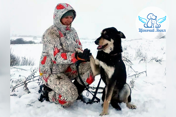 ФД_2026-02-20_Леон_3x2