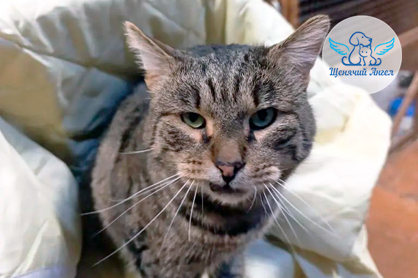 ФД_2026-02-23_Шпрот_3x2 ФД_2026-02-23_Шпрот_3x2