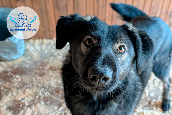 ФД_2026-02-24_Блэк_3x2 ФД_2026-02-24_Блэк_3x2