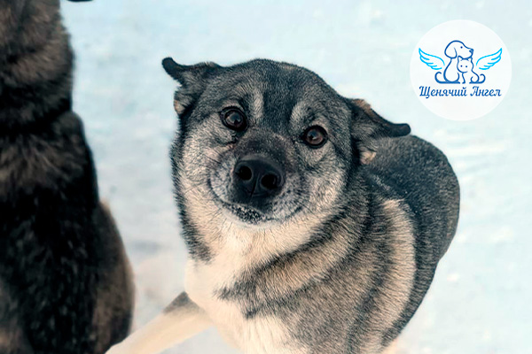 ФД_2026-02-25_Ника_3x2