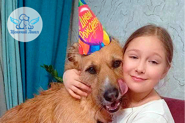 ФД_2026-02-26_Камиль_3x2 ФД_2026-02-26_Камиль_3x2