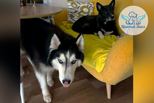 ФД_2026-02-27_Лана_3x2 ФД_2026-02-27_Лана_3x2