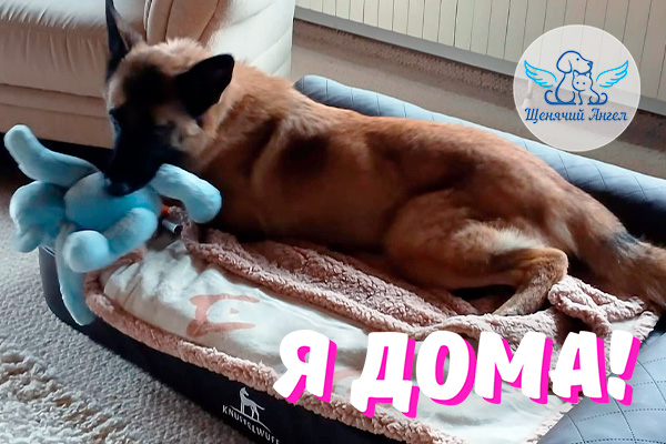 Н_2026-02_03_Кузенька_Я_Дома_3x2 Н_2026-02_03_Кузенька_Я_Дома_3x2