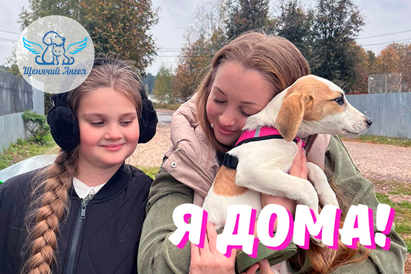 Н_2026-02_10_Малинка_3x2