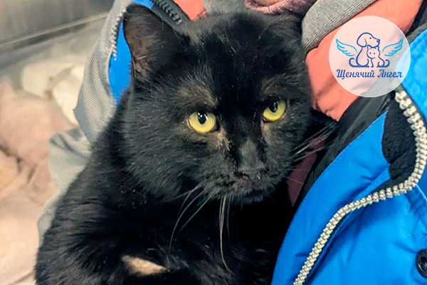 Н_2026-02_13_Васька_3x2