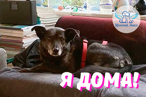 Н_2026-02_17_Конопушка_Я_Дома_3x2 Н_2026-02_17_Конопушка_Я_Дома_3x2