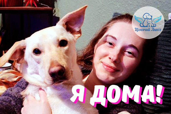 Н_2026-02_24_Гоша_Я_Дома_3x2 Н_2026-02_24_Гоша_Я_Дома_3x2