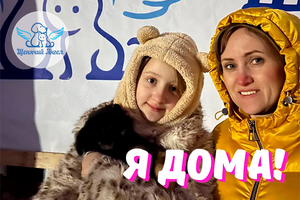 Н_2026-02_25_Лёва_Я_Дома_3x2 Н_2026-02_25_Лёва_Я_Дома_3x2