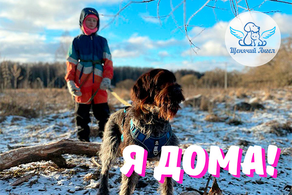 Н_2026-02_27_Капитан_Борода_Я_Дома_3x2 Н_2026-02_27_Капитан_Борода_Я_Дома_3x2