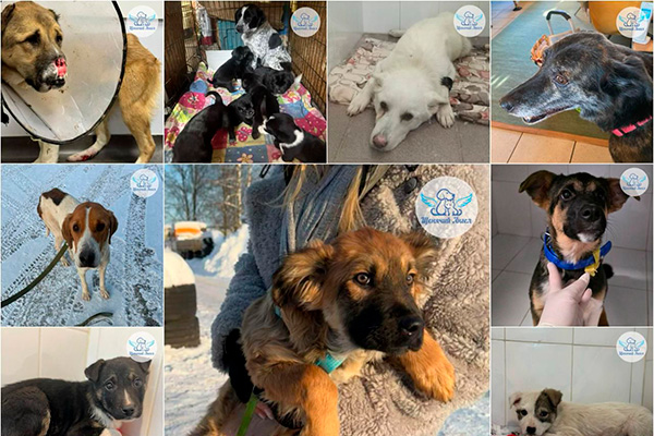 ЖП_2026-02_04_Отчет_за_январь_3x2