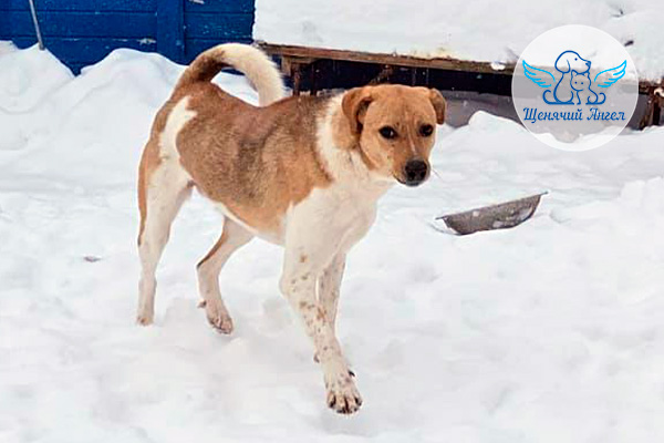 ЖП_2026-02_05_Дина_3x2