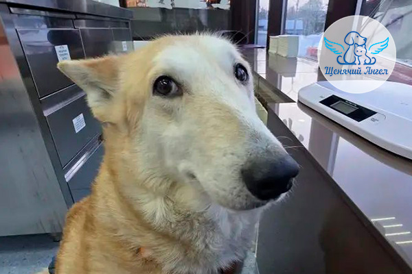 ЖП_2026-02_17_Мама_Умка_3x2 ЖП_2026-02_17_Мама_Умка_3x2