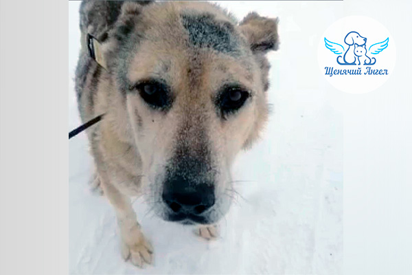 ЖП_2026-02_19_Граф_3x2 ЖП_2026-02_19_Граф_3x2