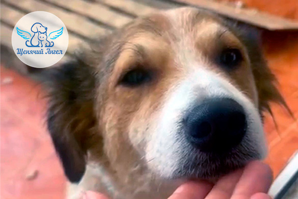 ЖП_2026-02_20_Мама_Элис_3x2