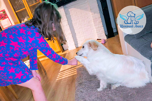 ФД_2026-03-04_Сеня_3x2 ФД_2026-03-04_Сеня_3x2