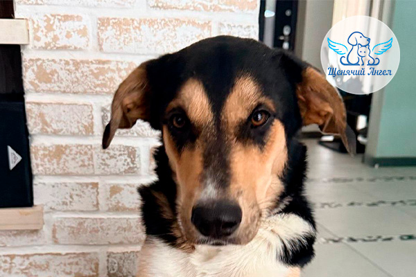 ФД_2026-03-10_Бруно_3x2