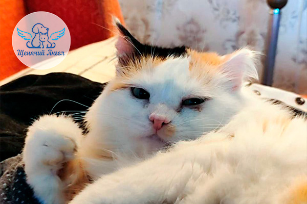 ФД_2026-03-12_Злата_3x2