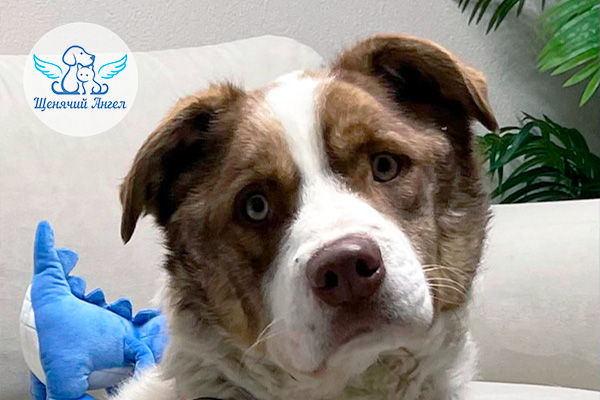 ФД_2026-03-17_Бонд_3x2