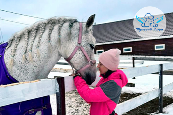 ФД_2026-03-18_Ласточка_3x2